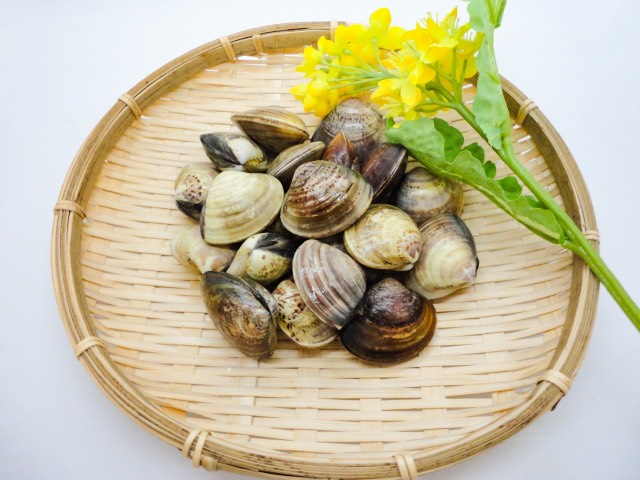 巡りが一気に動きます